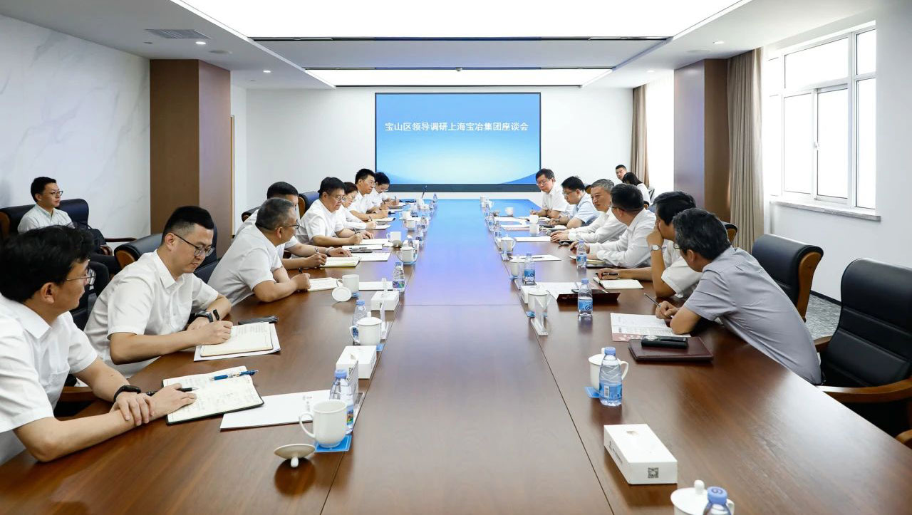 宝山区委书记李晨昊一行调研上海OB欧宝